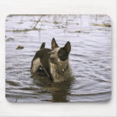 Search for heelers mouse mats Queensland