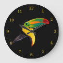 Search for toucan clocks Colourful