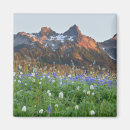 Search for mountain range magnets Tree