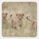 Search for kenya stickers Nature