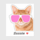 Search for funny ginger stickers Orange tabby