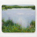 Search for leisure electronics Lake