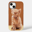 Search for cute baby kitten iphone cases Young animal