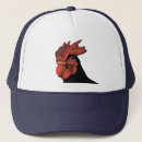 Search for avians hats Nature