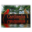 Search for cardinal calendars Photography