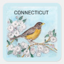 Search for connecticut state stickers Bird