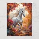 Search for horses galloping postcards Nature