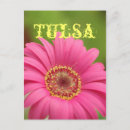 Search for daisy picture postcards Pink