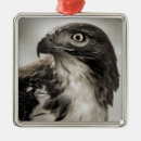 Search for exotic metal christmas tree decorations animals