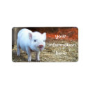 Search for farm return address labels Pig