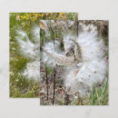 Search for scrapbook photography Flowers