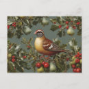 Search for 12 days of christmas postcards Pear tree
