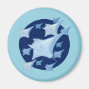 Search for rays magnets Marine life