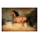 Search for galloping mare Wild