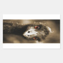Search for ostrich stickers Nature