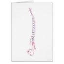 Search for spinal column Illustration