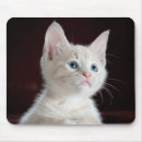 Search for cutie mouse mats Animal