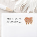 Search for pom return address labels Pet
