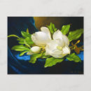 Search for giant flower postcards Flowers