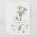 Search for painted daisies invitations Floral