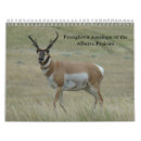 Search for buck office supplies Wildlife