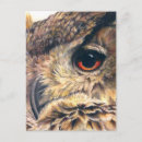 Search for detailed postcards Eye