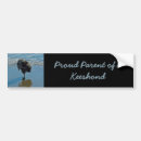 Search for ballet bumper stickers Dog