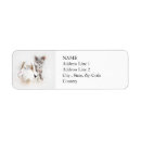Search for splatter paint return address labels Abstract