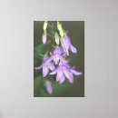 Search for light purple canvas prints Green