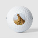 Search for cheetah golf balls Wildlife