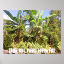 Search for big tree posters Island