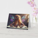 Search for elders cards Woman