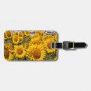 Search for spain luggage tags Culture