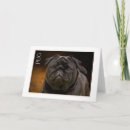 Search for pug note cards Dog