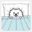 Search for pomeranian stickers Pets