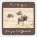 Search for wildebeests Safari