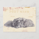 Search for vintage sketch postcards Cat