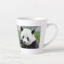 Search for giant panda mugs Photography