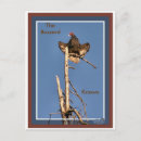 Search for vulture postcards Buzzard