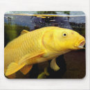 Search for gold fish electronics Carp