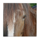 Search for equestrian tiles Brown