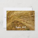 Search for grains cards Harvest
