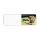 Search for doxie return address labels Wiener dog