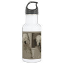 Search for herding kitchen dining Old english sheepdog