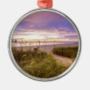 Search for naples florida christmas tree decorations Travel