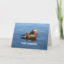 Search for mandarin cards Duck