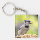 Search for blue jays key rings Animal