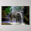 Search for elephant decor nursery posters Little