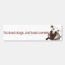 Search for bully breed bumper stickers Pit bull