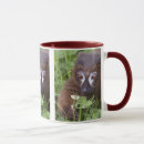 Search for red monkey mugs Primates